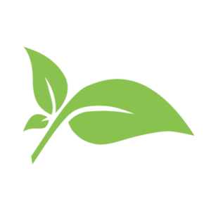 Grønt blad - logo - Rebekka Bondegaard - kognitiv adfærdsterapi